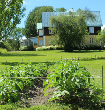 Skolbyggnad i bakgrunden. I förgrunden syns en potatisodling.