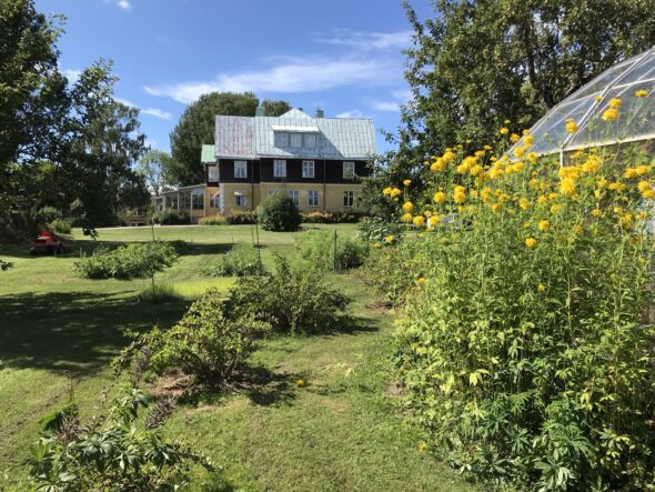 Bärbuskar, blommor och potatisodling i förgrunden. I bakgrunden syns ett stort hus. "Gamla skolan"