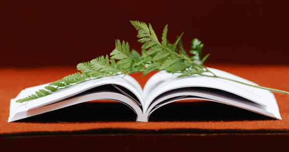 Uppslagen bok med ormbunksblad ovanpå. foto.